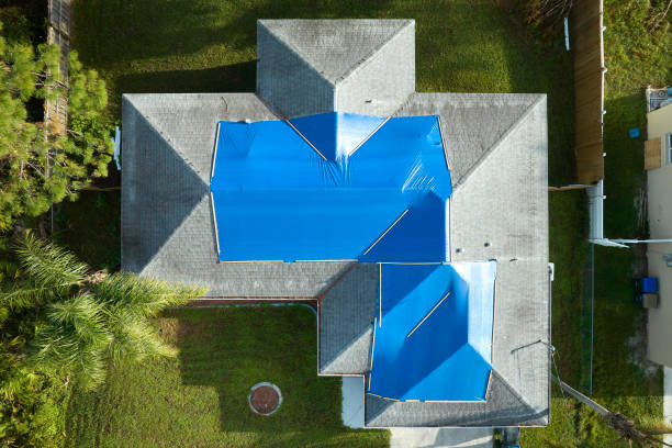 Best Roof Insulation Installation  in Keene, TX